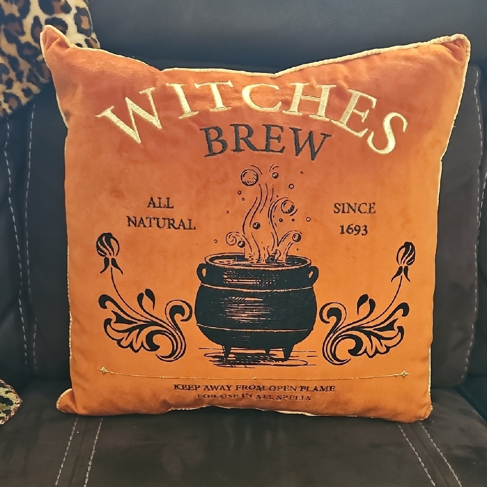 Orange Witches Brew Decorative Pillow